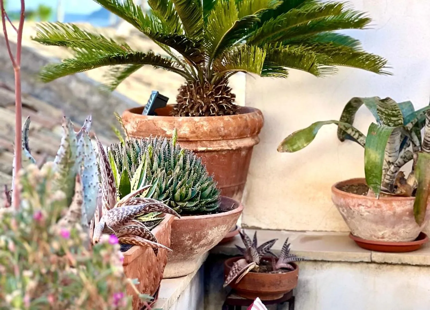 Albaria Villa Birgi Vecchi Holiday home